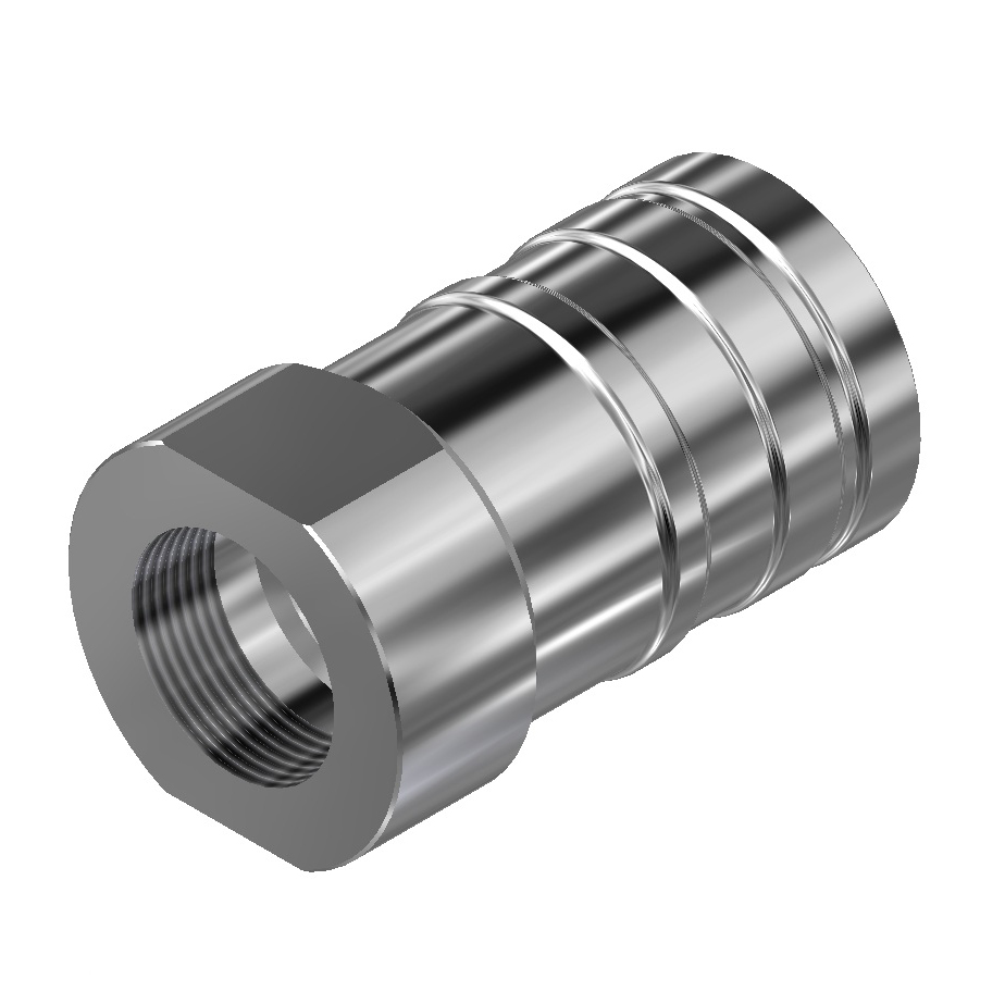 NPS Pipe Fitting - DM 20 Series - DM20060 NPT Female