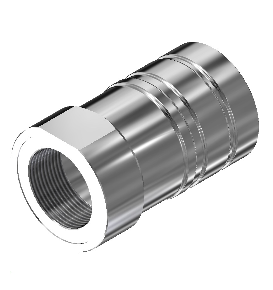 NPS Pipe Fitting - DM 20 Series - DM20086 BSPP Female